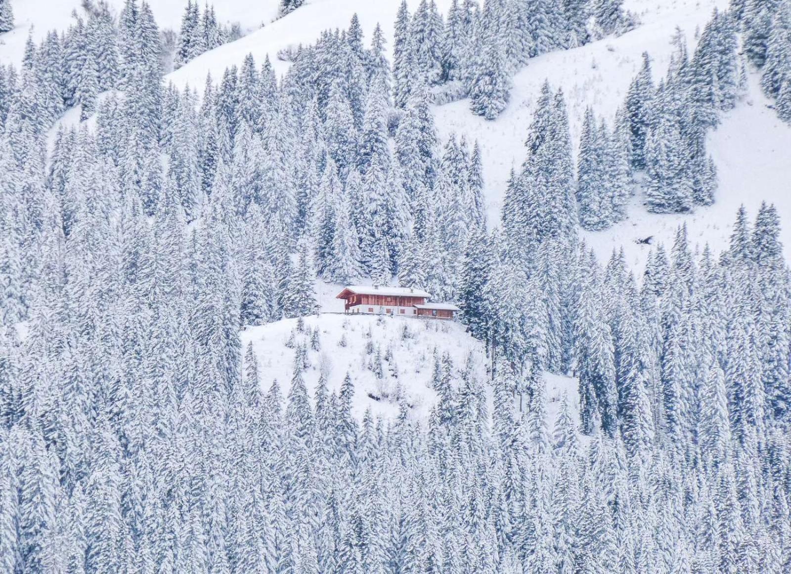 Alpenchalets Biberwier Zugspitze By Alps Resorts Eksteriør bilde